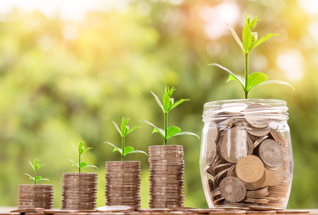 Read more about the article What is Investing? A Beginner’s Guide to Growing Your Wealth